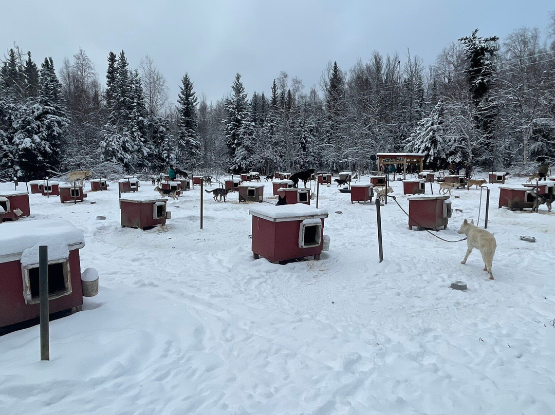 Cotter's Sled Dog Tours-费尔班克斯必去景点