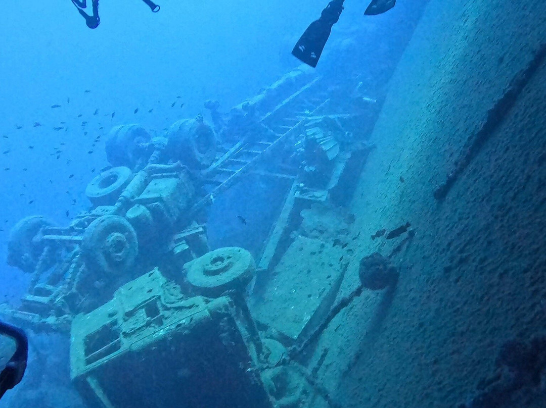 Cydive-帕福斯必去景点