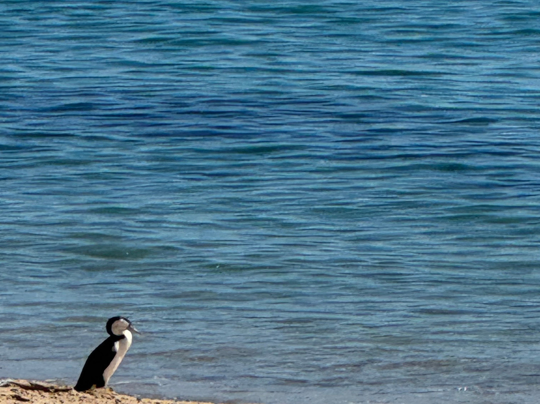 Abel Tasman Guides-玛拉豪必去景点