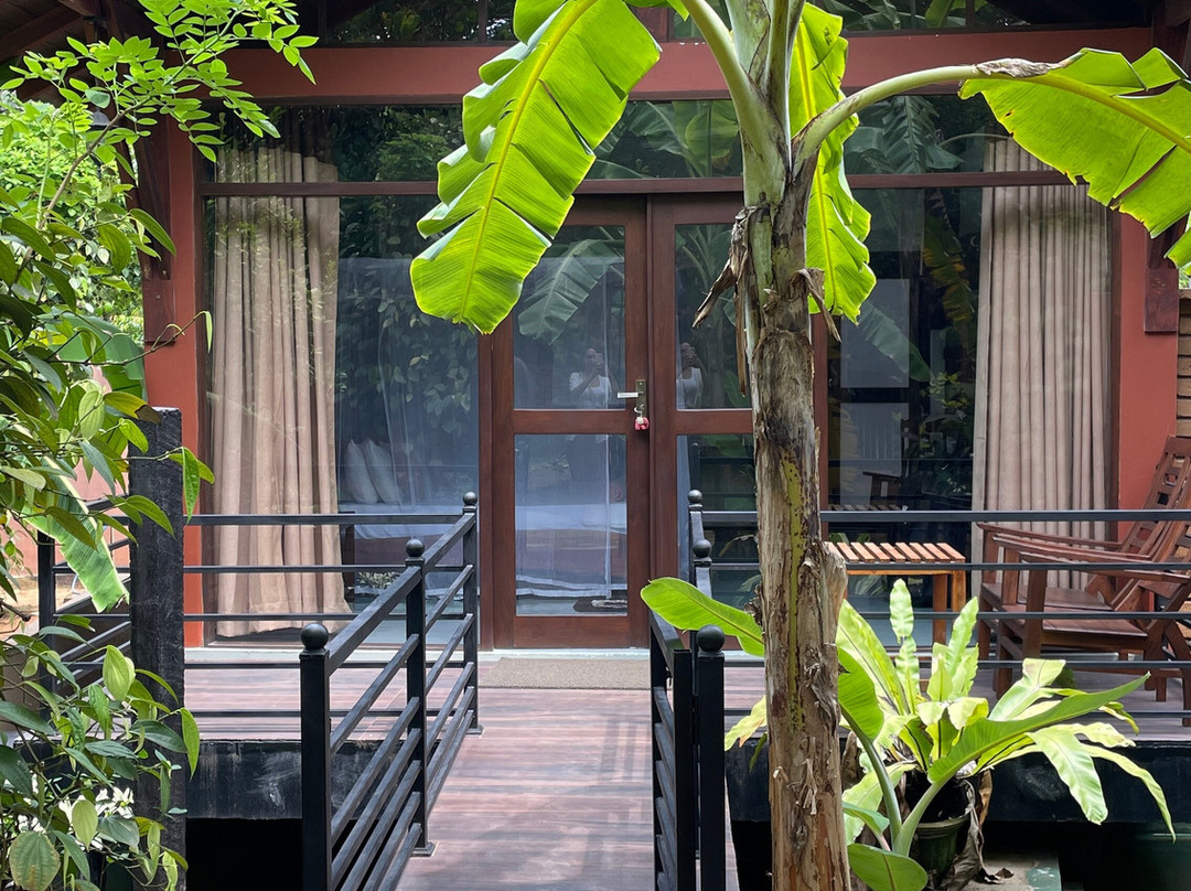 Mango Tree House主图