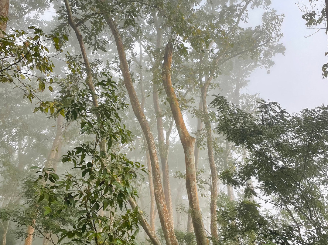 Nepal Dynamic Eco Tours & Services-奇旺国家公国必去景点