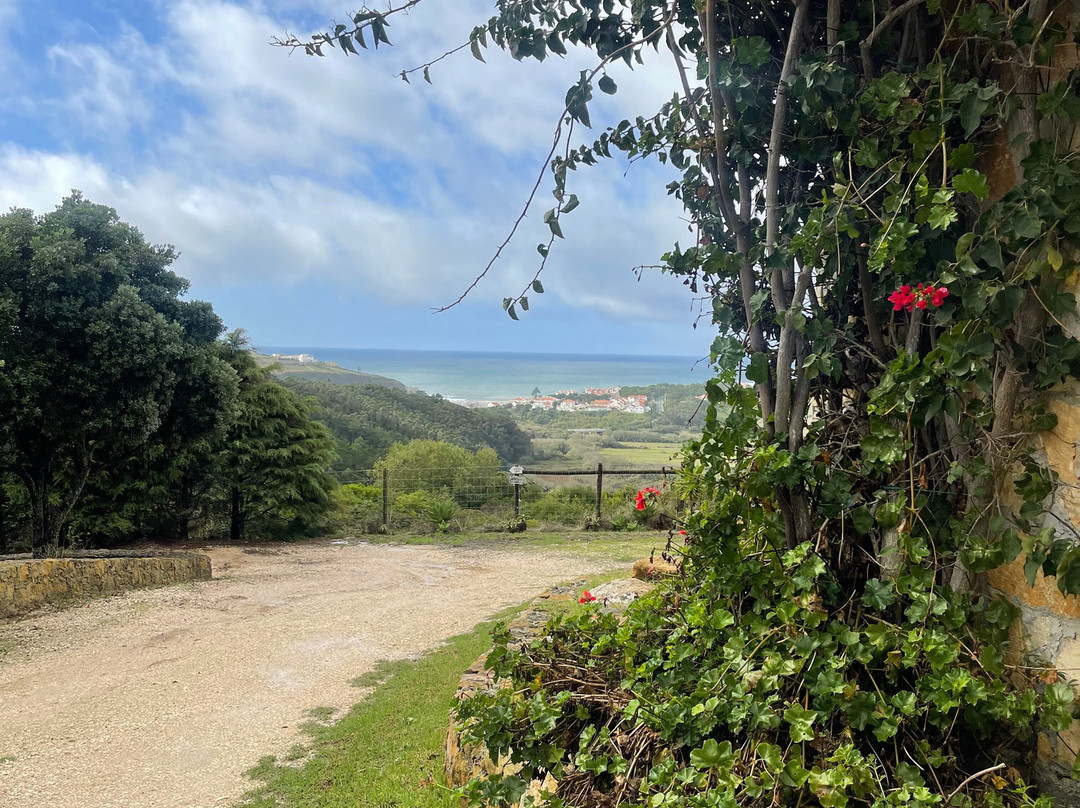 Quinta Dos Raposeiros主图