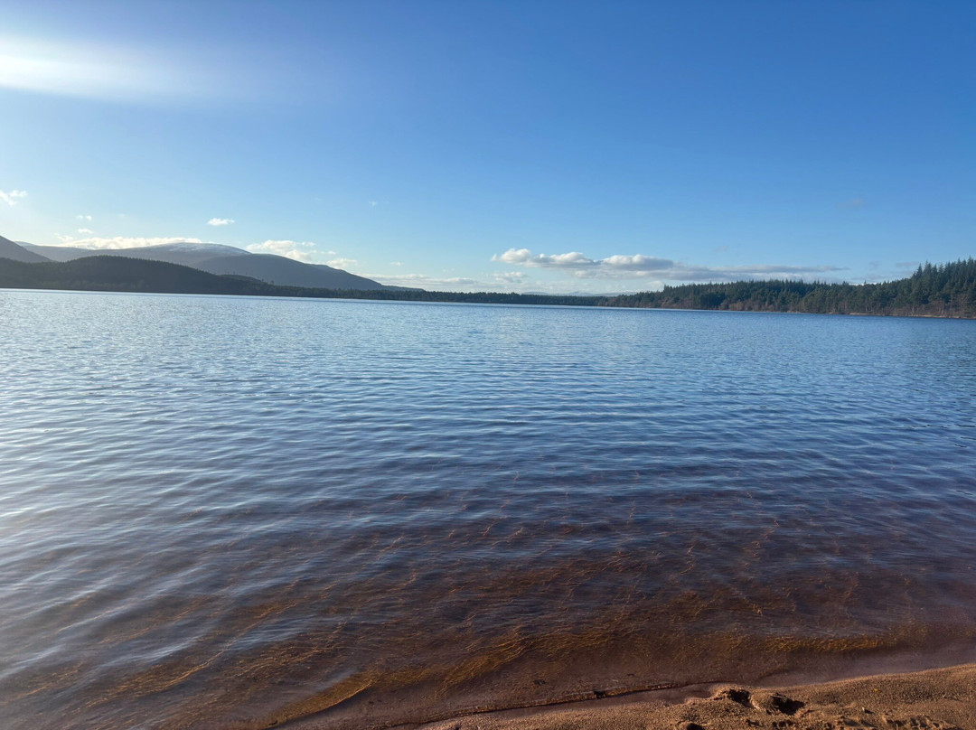 Loch Morlich-阿维莫尔必去景点