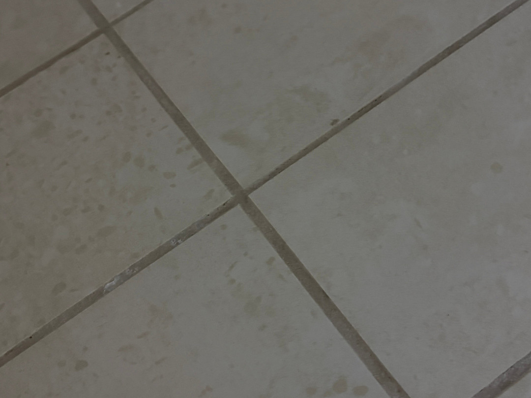 Cambria hotel & suites Minneapolis Maple Grove主图