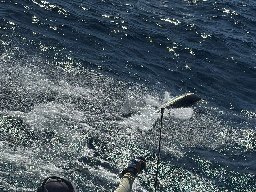 True Blue Sportfishing-St. George's必去景点