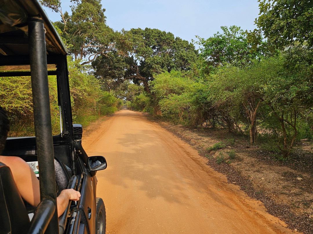 Come Visit Sri Lanka-康提必去景点