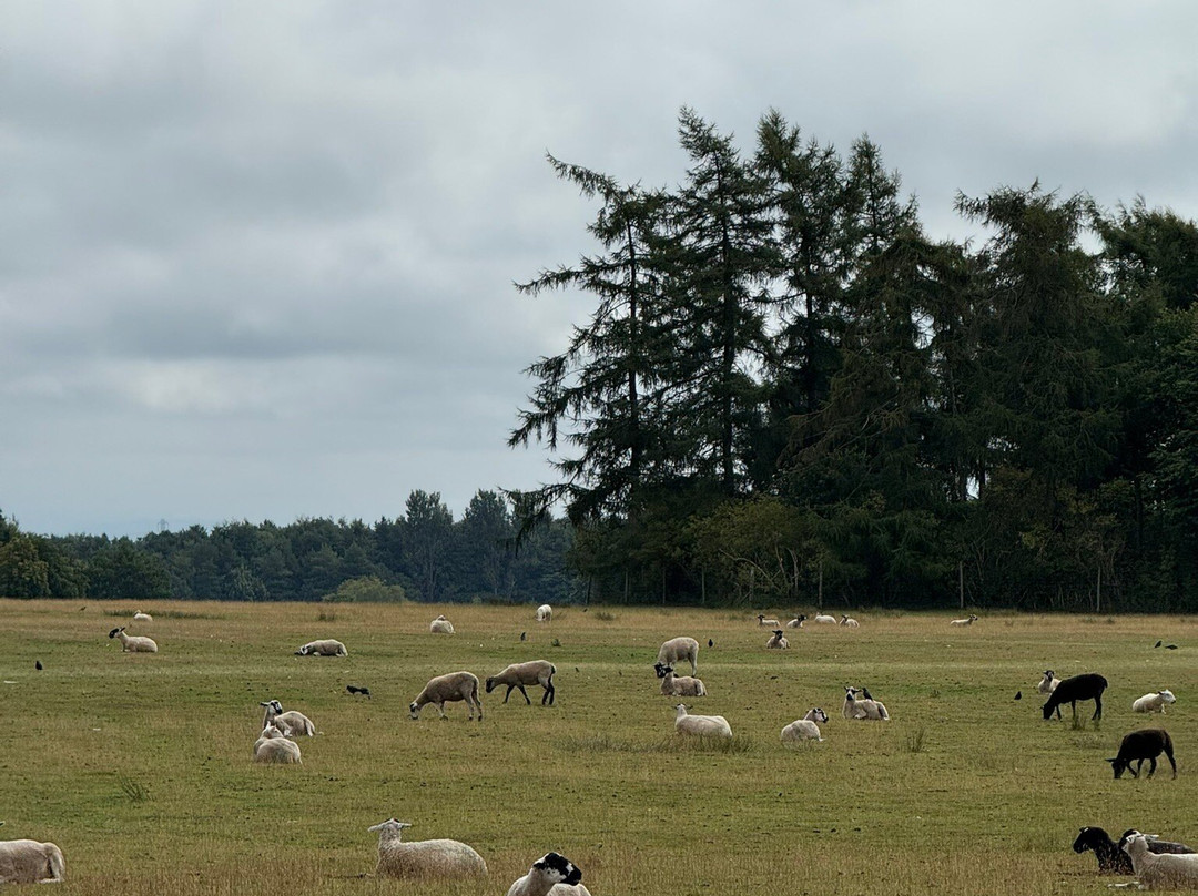 Tatton Park-纳茨福德必去景点