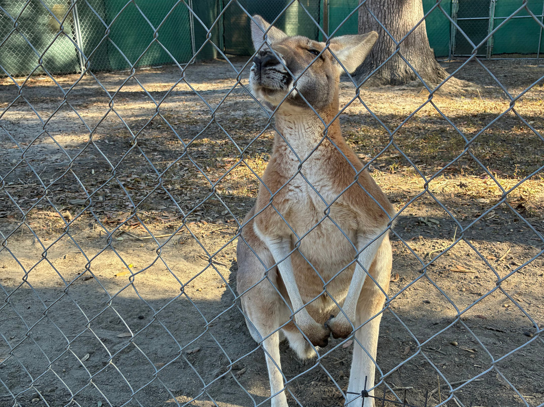 North Florida Wildlife Center-Lamont必去景点
