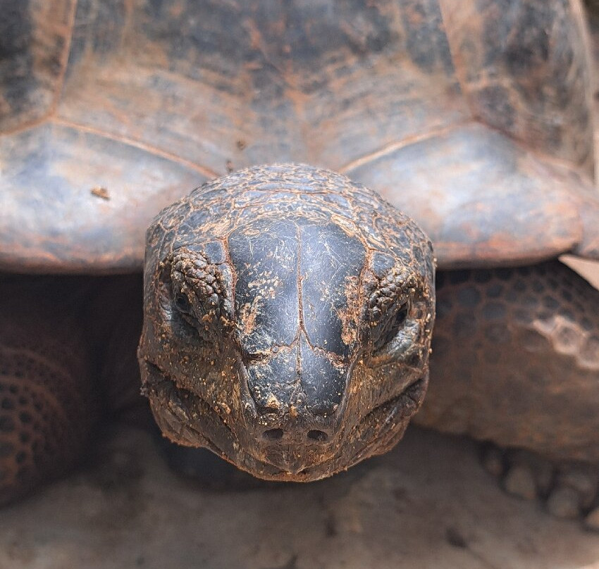 Moyenne Island-马埃岛必去景点