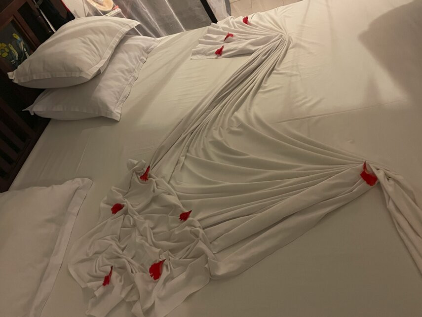 Palumbo Kendwa主图