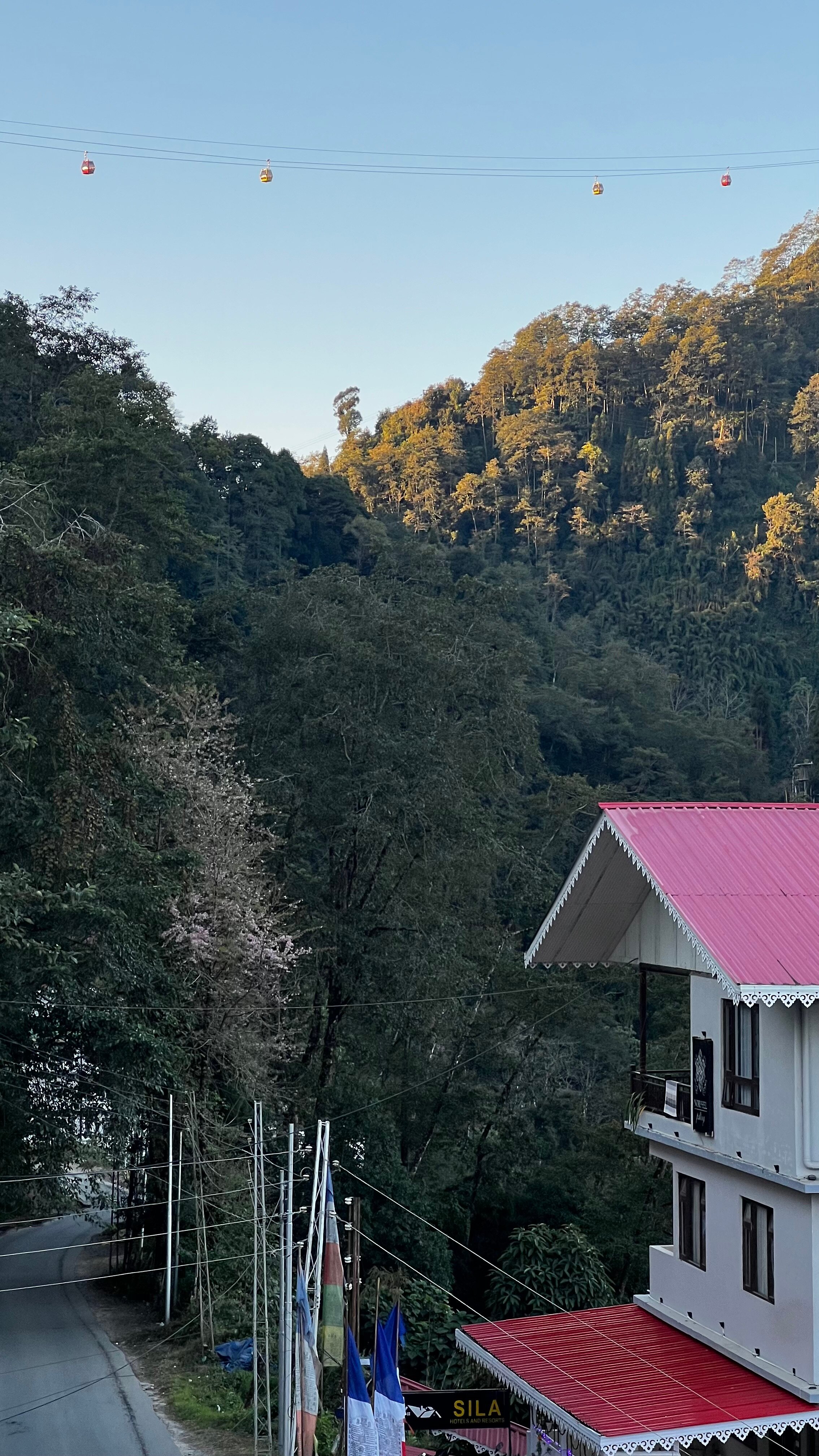 Udaan Hotel Pine Crest-客卧