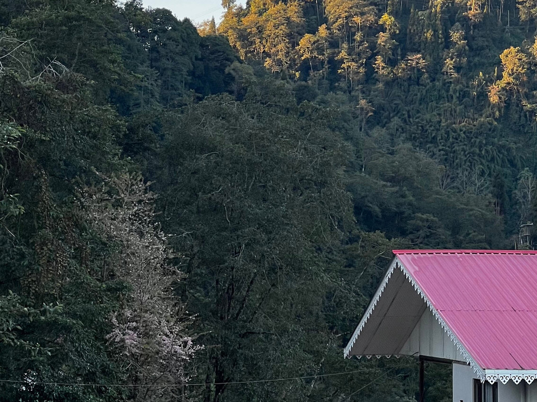 Udaan Hotel Pine Crest主图