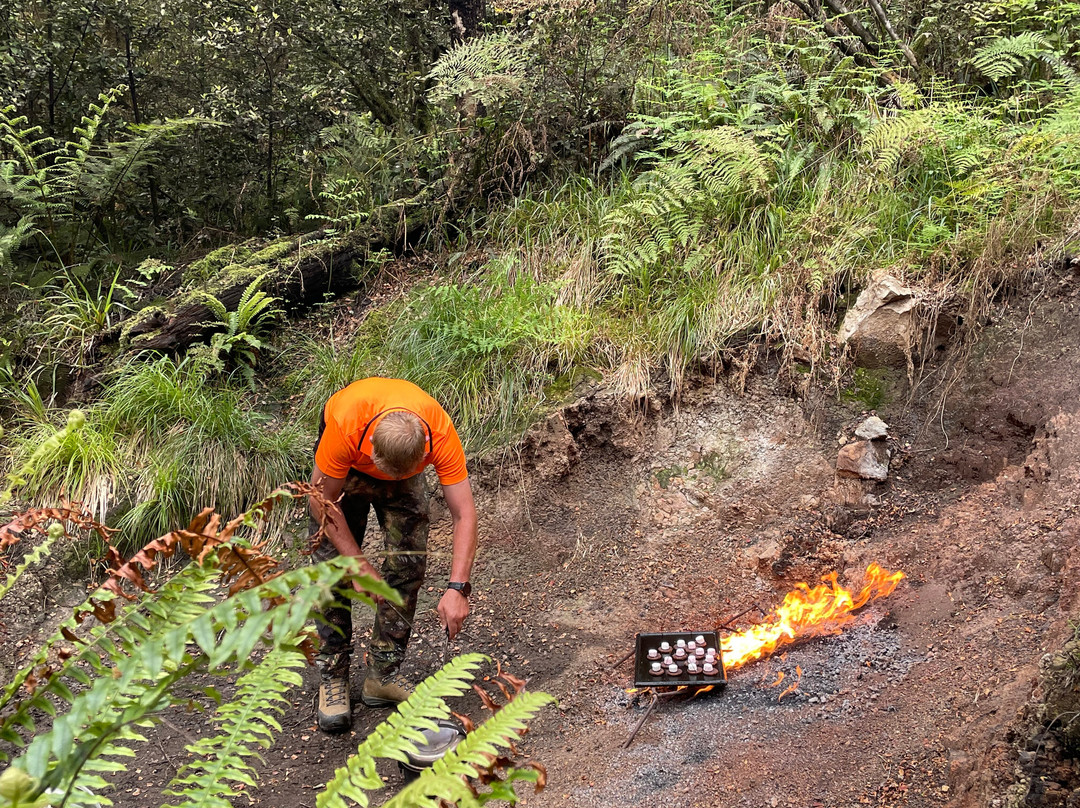 The Natural Flames Experience - Day Tours-Murchison必去景点