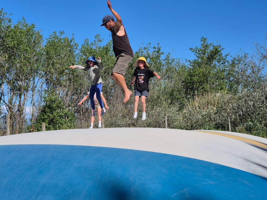 Foxton Beach TOP 10 Holiday Park