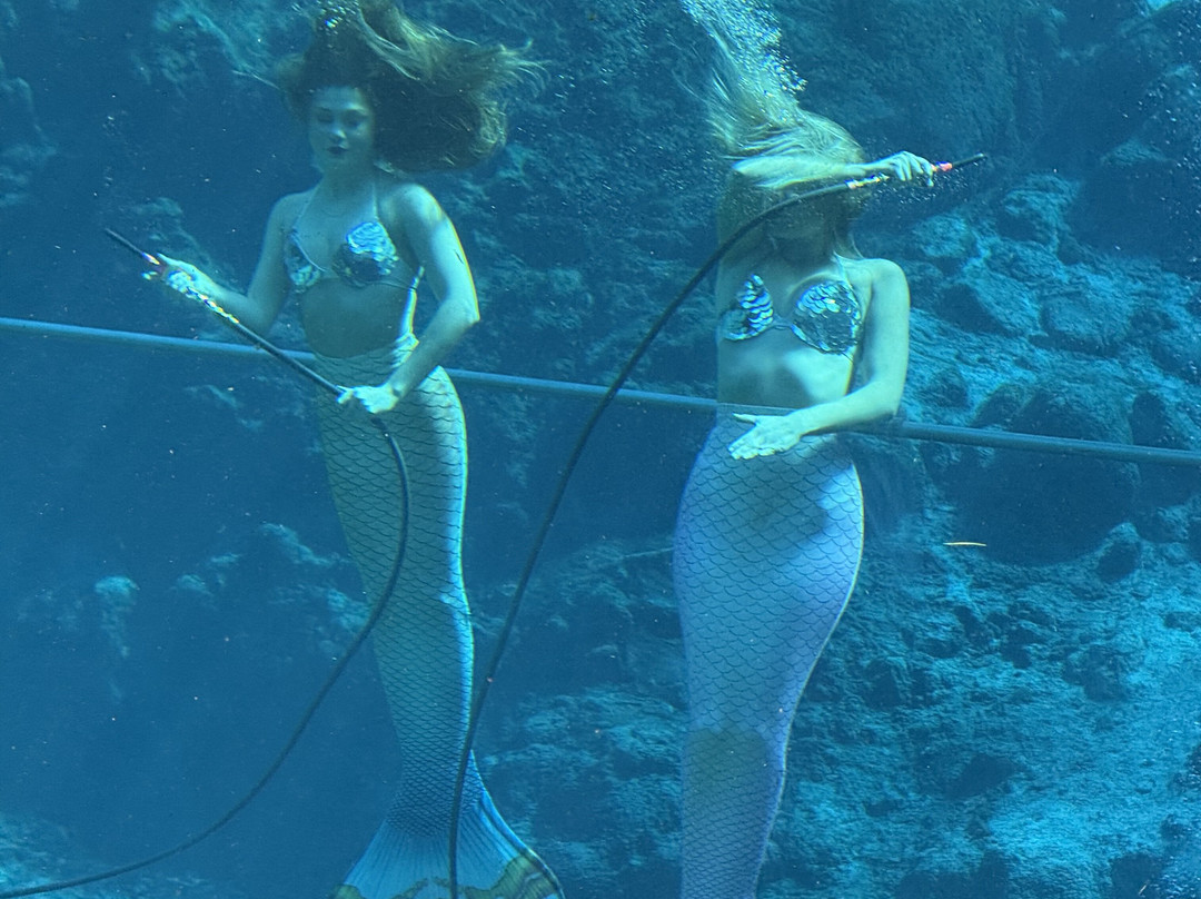 Weeki Wachee Springs State Park-Spring Hill必去景点