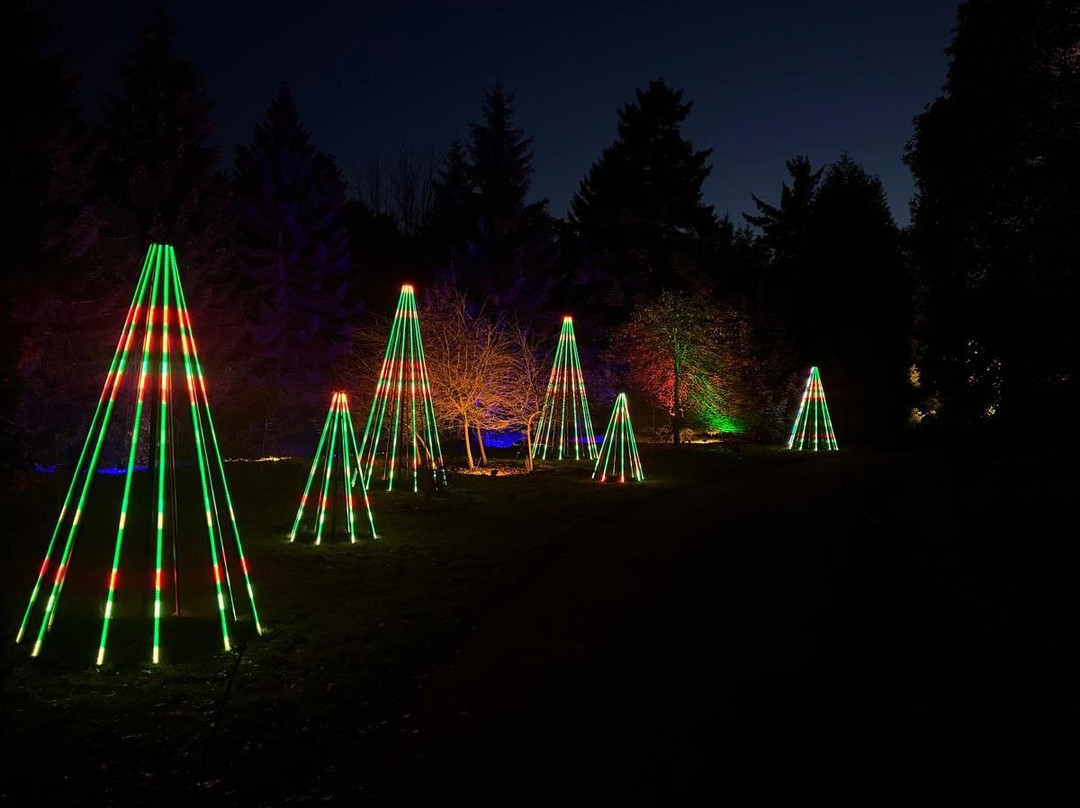 Bedgebury National Pinetum And Forest-Goudhurst必去景点