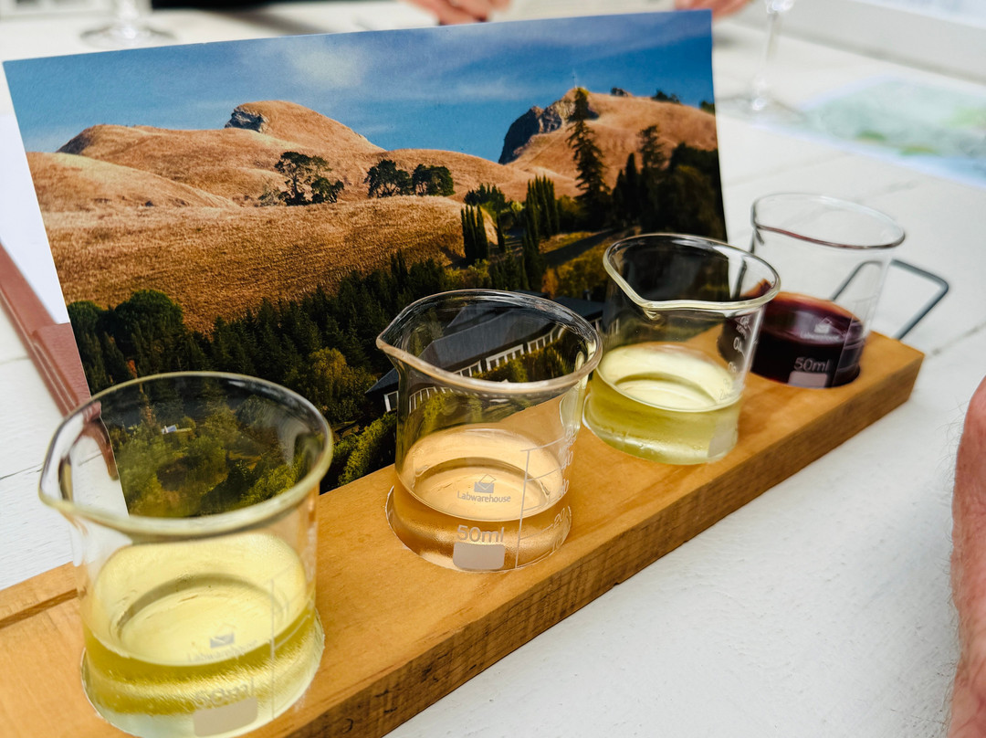 Black Barn Vineyards-Havelock North必去景点