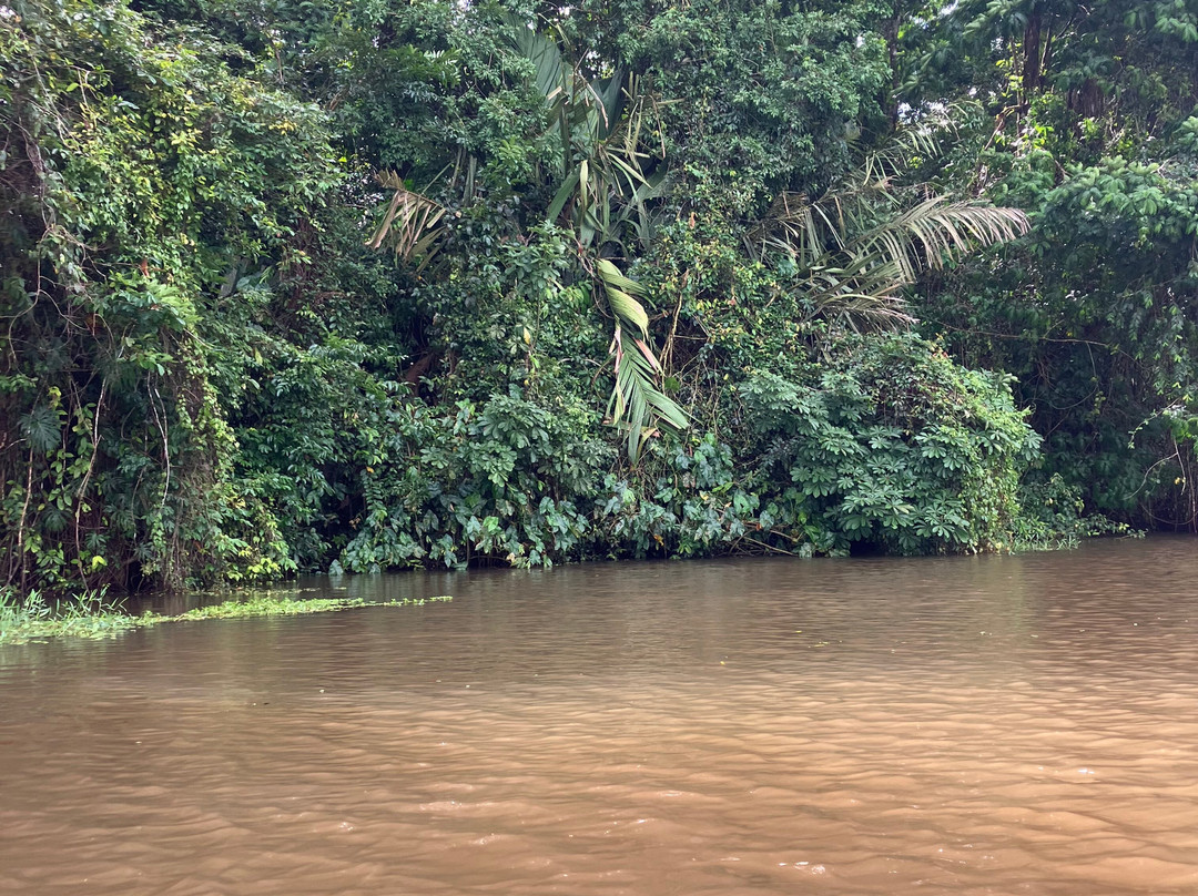 Parque Nacional Tortuguero-托图杰多必去景点