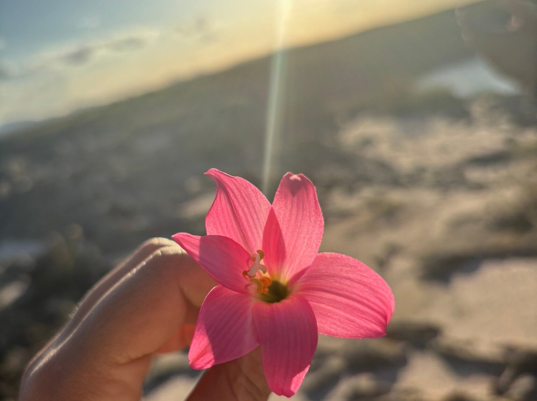 Guia Rafaell Sabino-Olho d'Agua do Casado必去景点