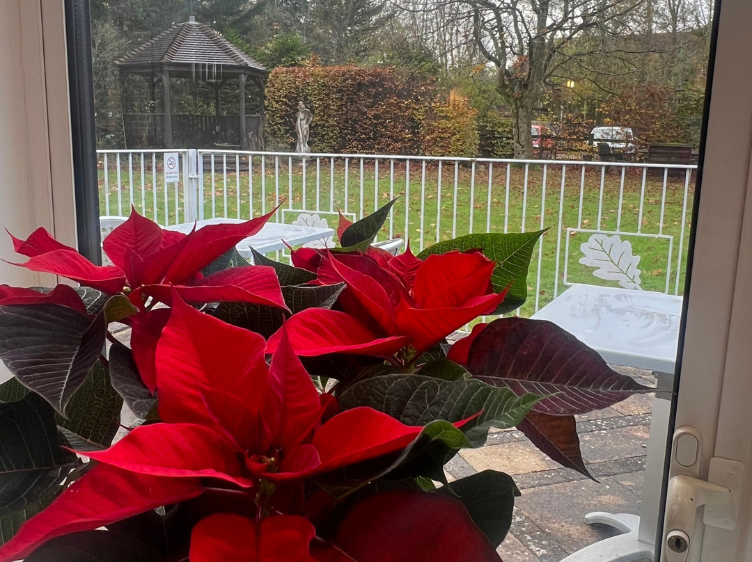 淡银乡村酒店主图