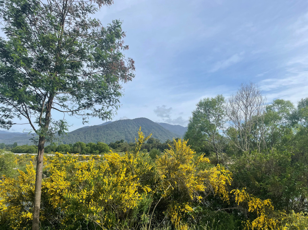 默奇森洛奇久电主图