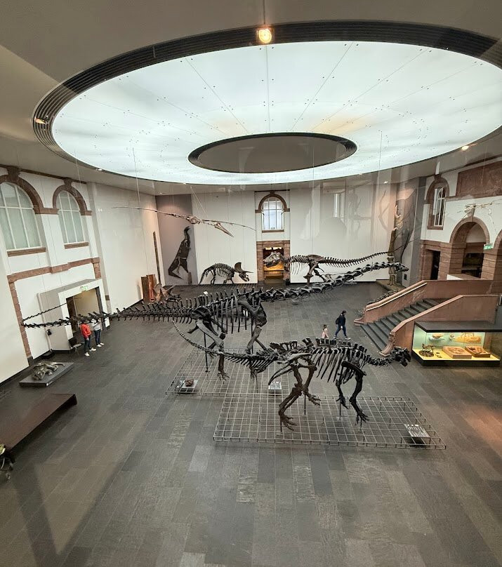 森肯伯格自然历史博物馆-法兰克福必去景点