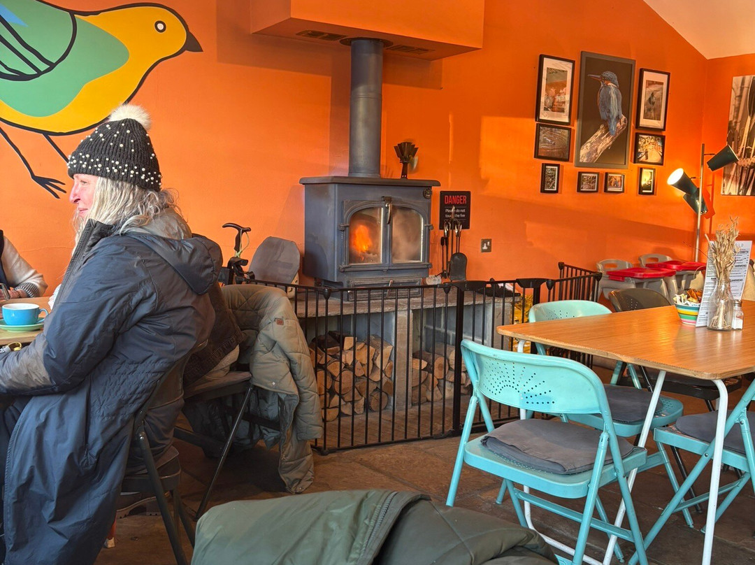 Marigold Cafe and Boat Hire-Knaresborough必去景点