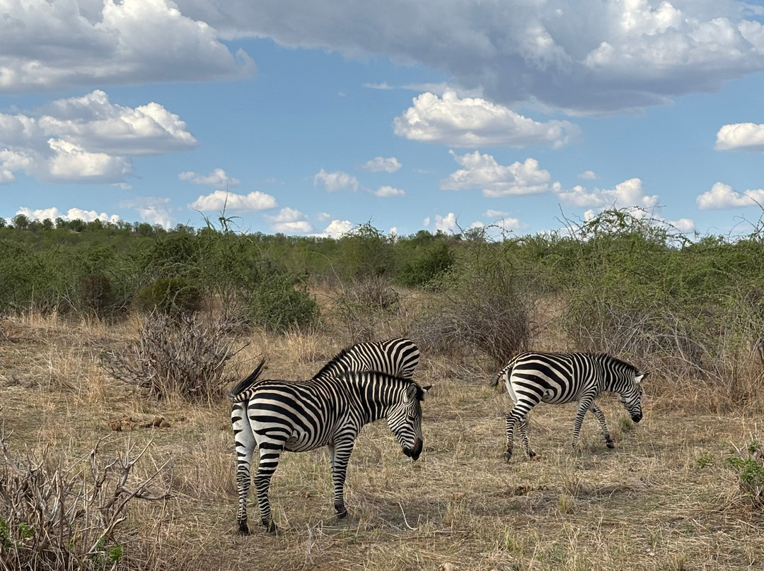 Sam safari & tours-Iringa必去景点