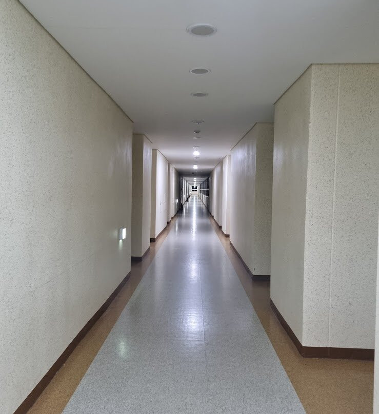 The White Hotel主图