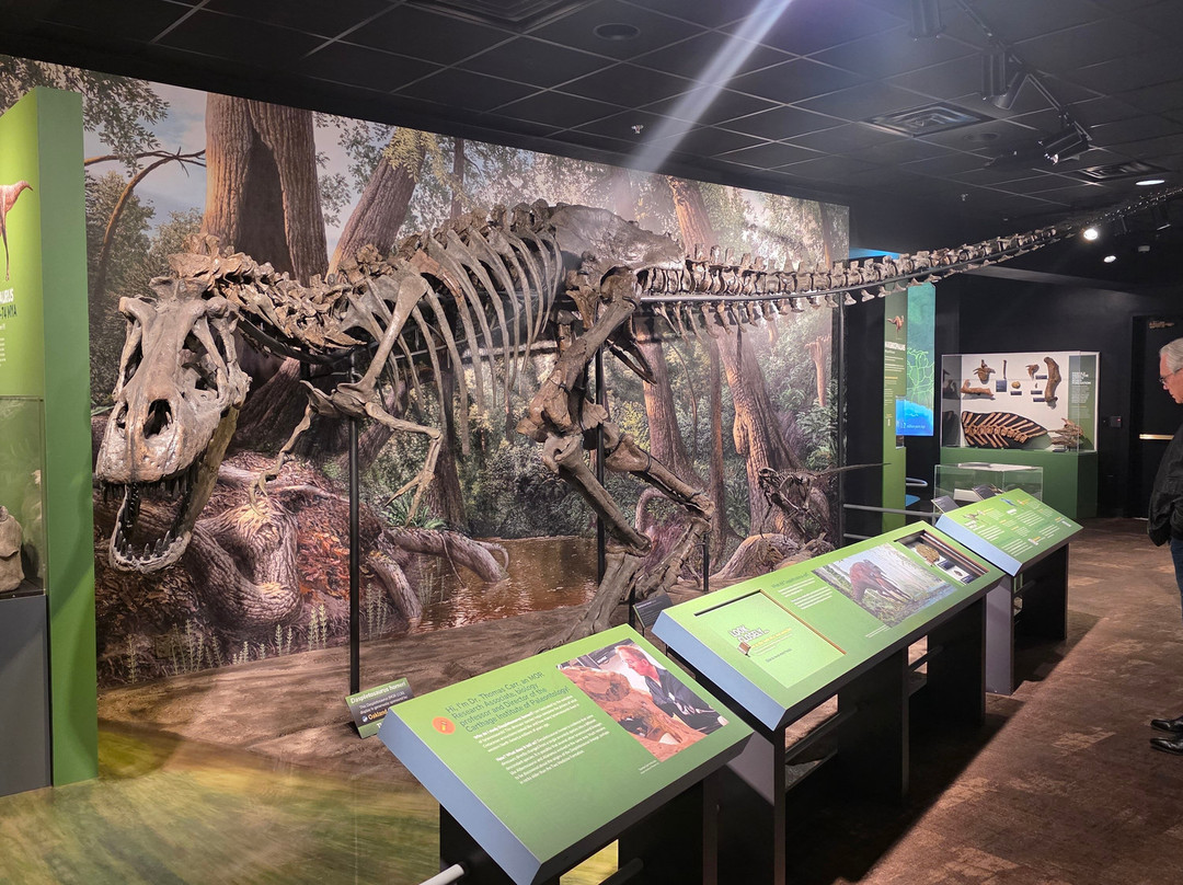 Museum of the Rockies-博兹曼必去景点