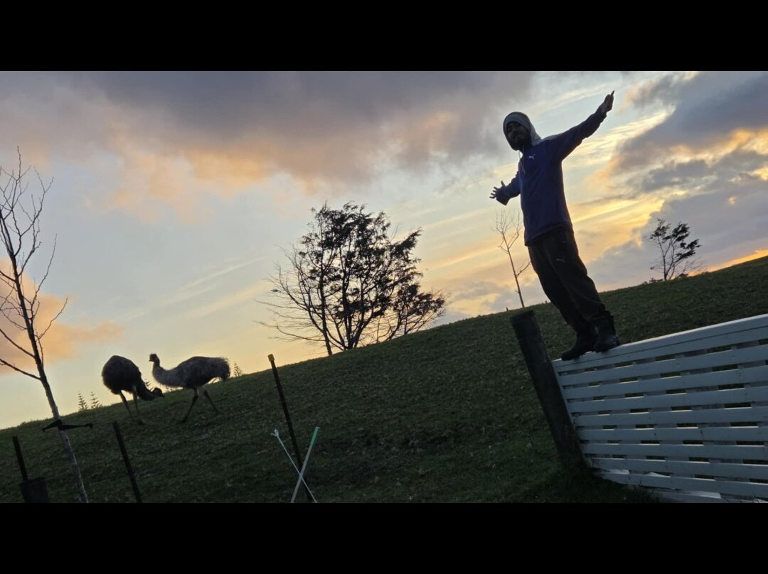 Oceania Escapades-奥克兰中心地区必去景点