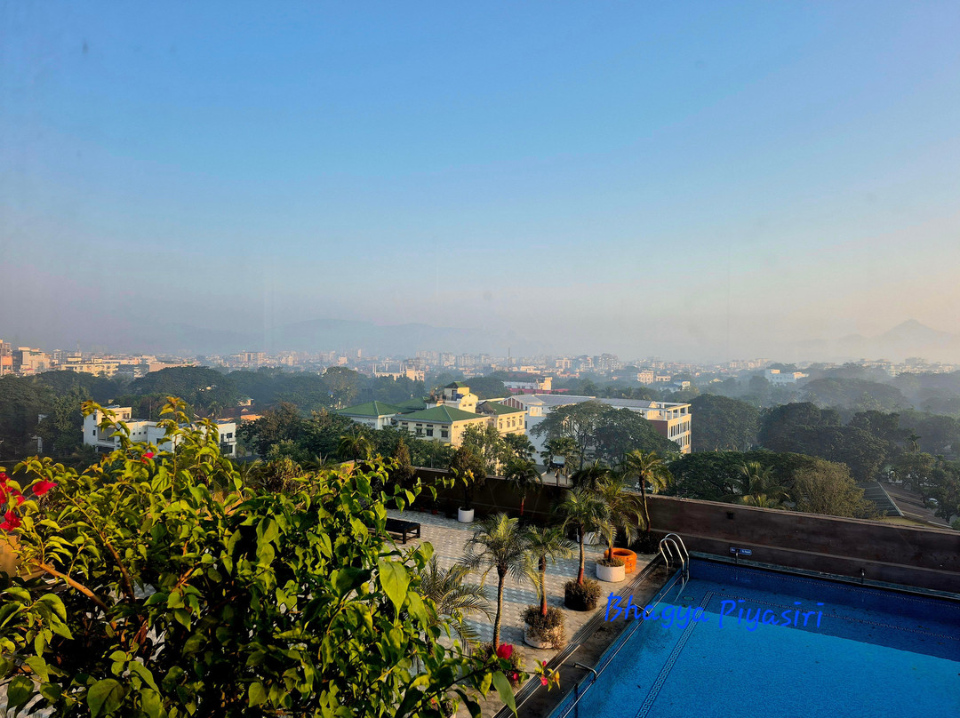 The Lily Hotel主图