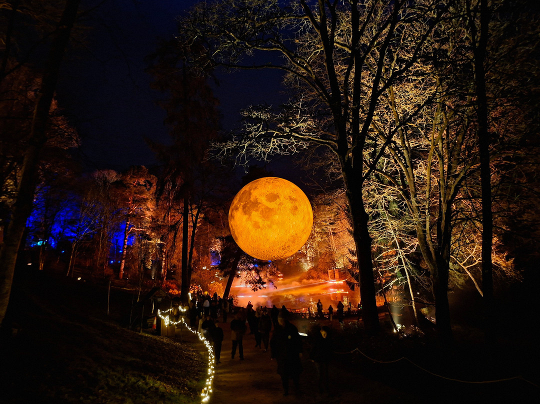 Leonardslee Illuminated-Lower Beeding必去景点