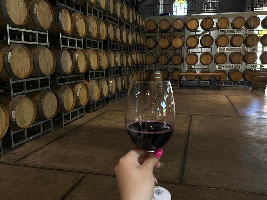 Bodega Los Toneles-门多萨必去景点