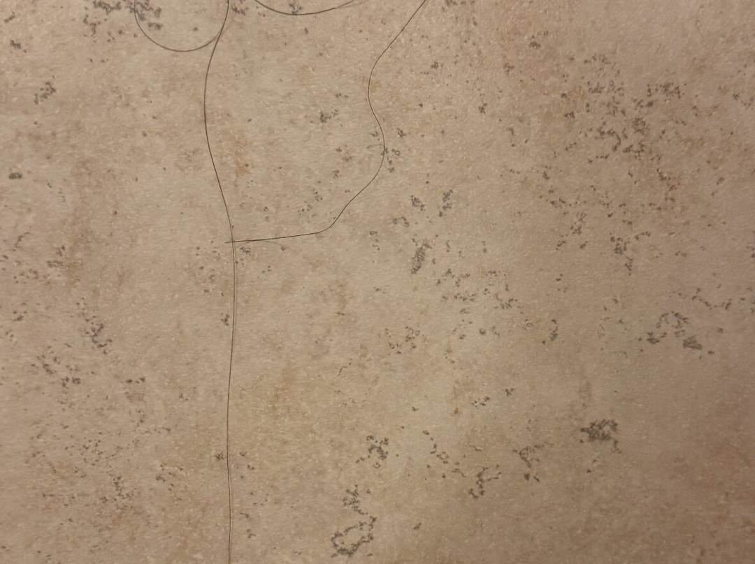 DoubleTree by Hilton Hotel Syracuse主图