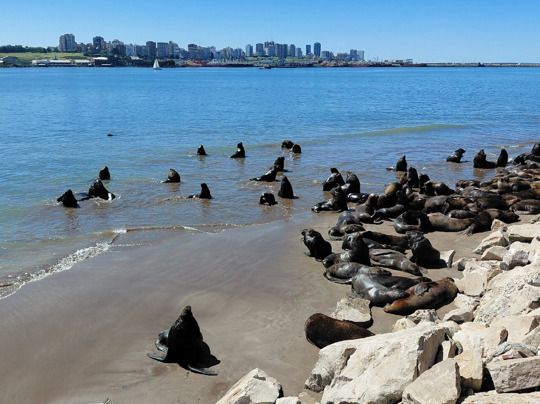 Centro Comercial Puerto-马德普拉塔必去景点