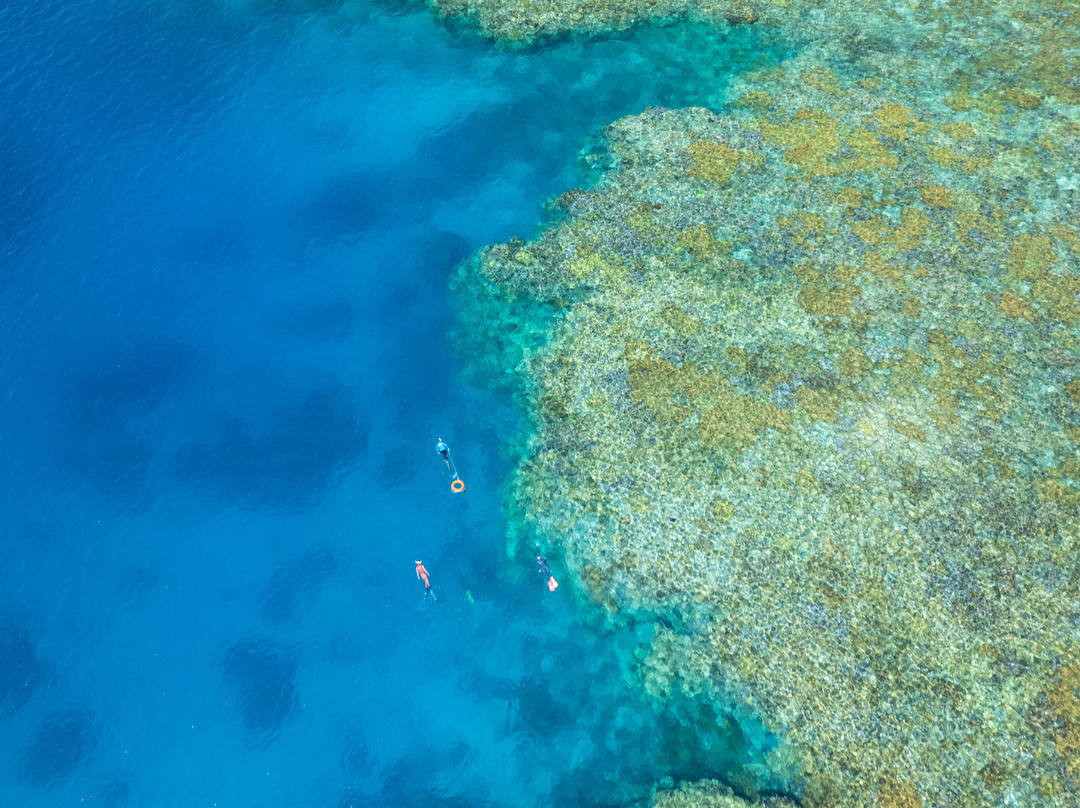 Sunlover Reef Cruises-凯恩斯必去景点