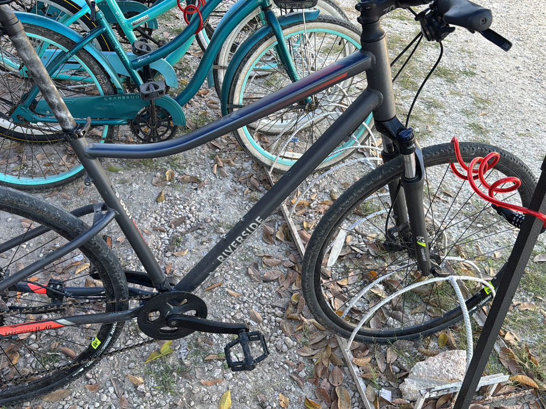 Ciclotour Aventuras Valladolid-巴利亚多利德必去景点