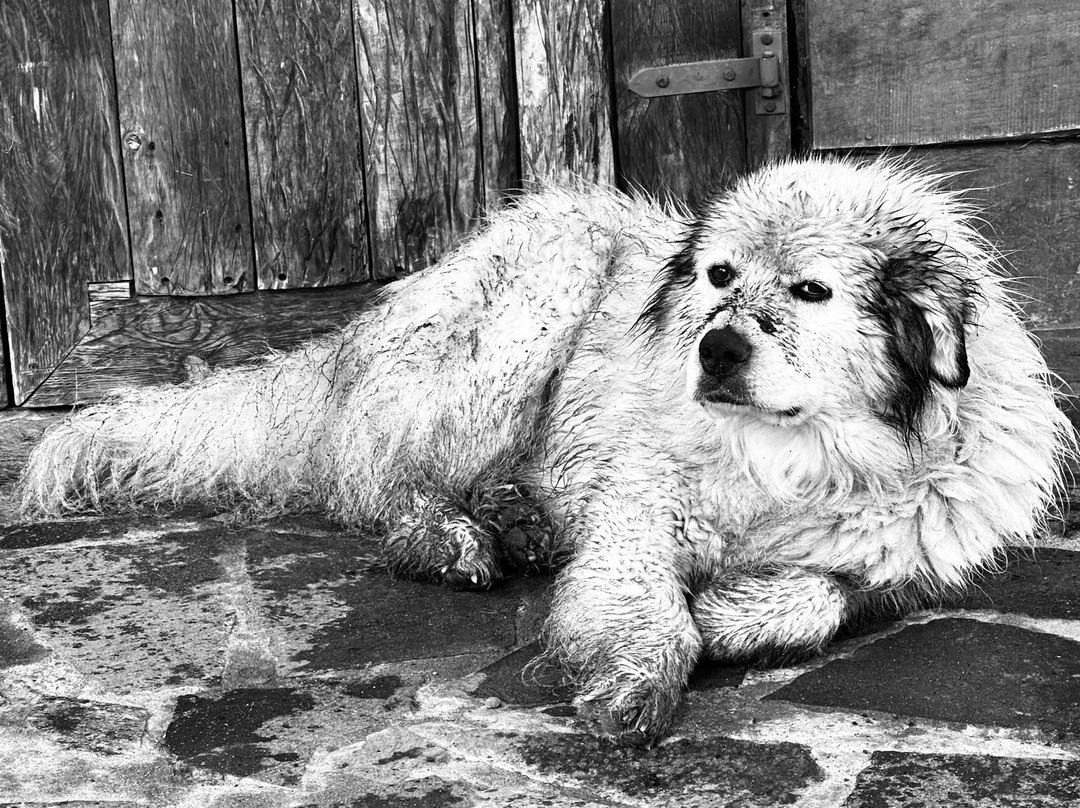 Senderos Patagonia-Villa Cerro Castillo必去景点