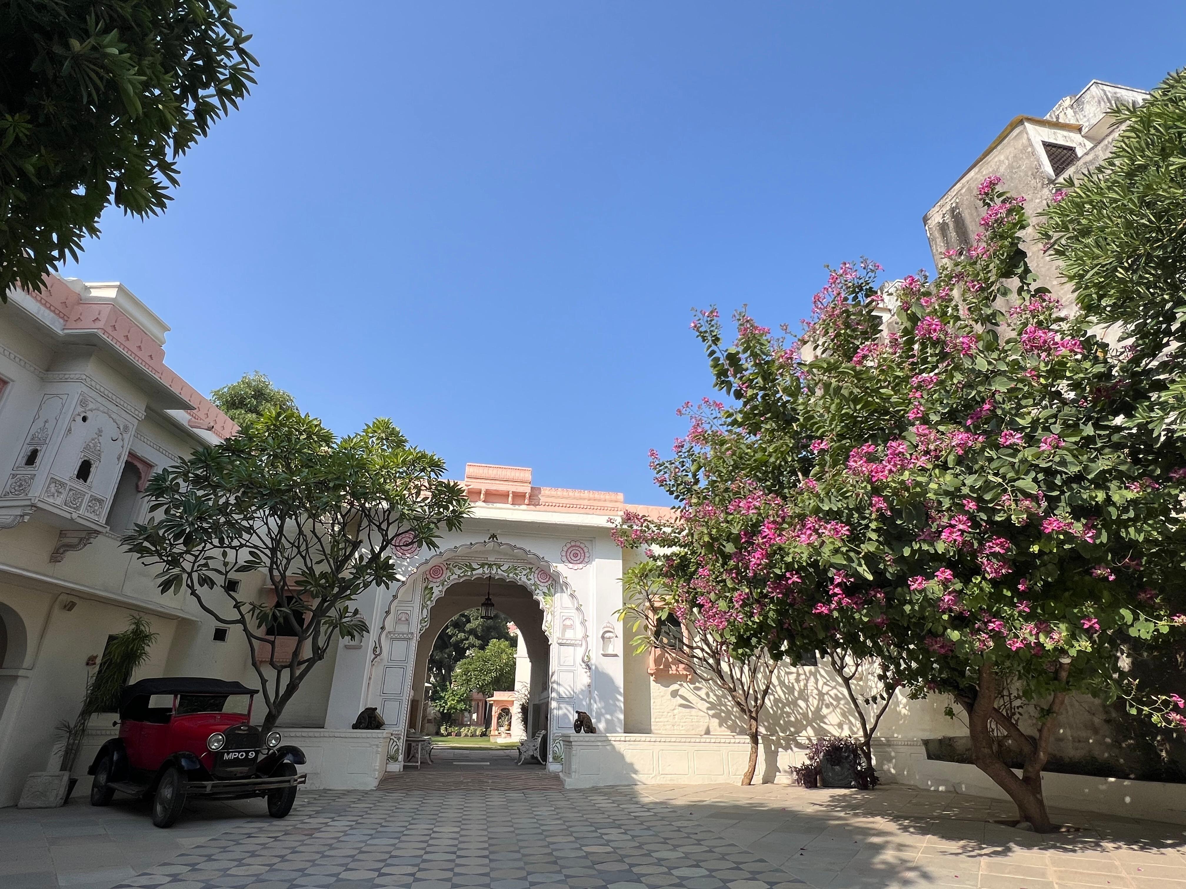 Rawla Jojawar-官方