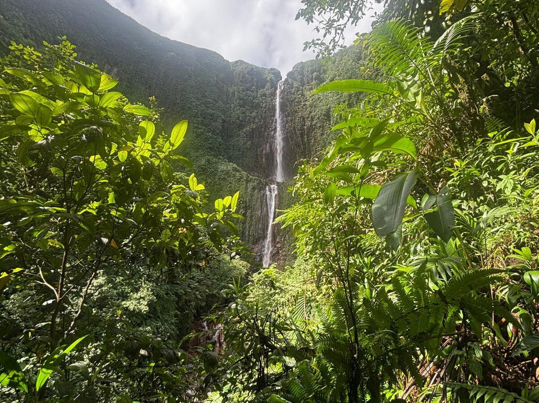 Carbet Falls (Les Chutes du Carbet)-Parc National必去景点