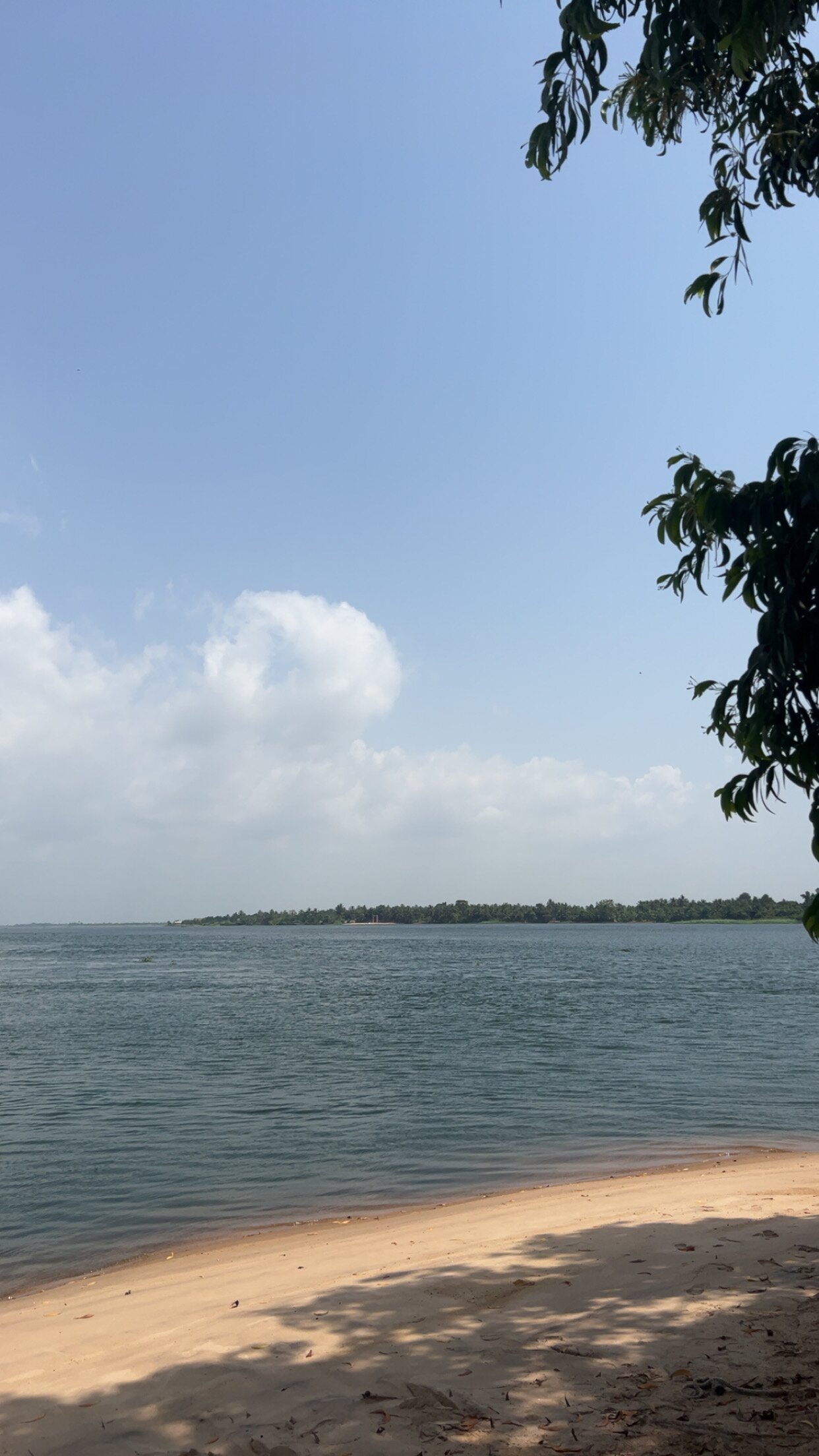 Aqua Safari Resort-官方