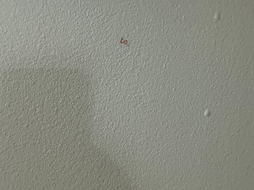 雷鸟汽车旅馆主图