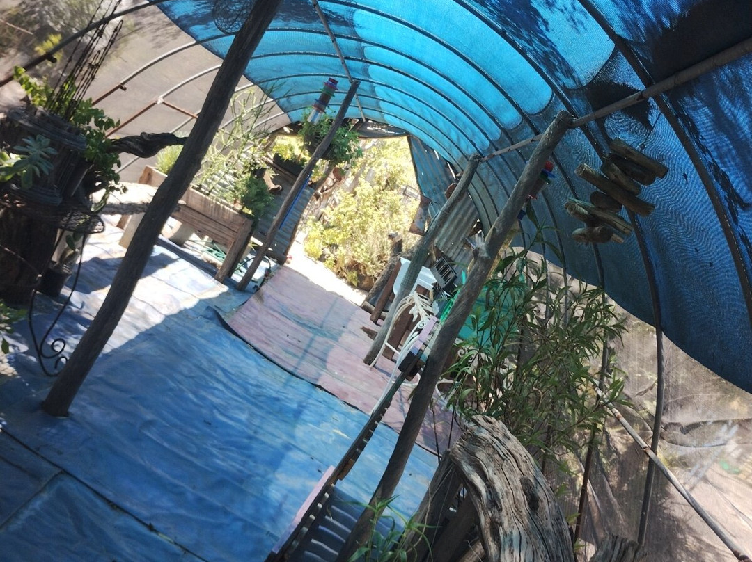 Die Plaasmol-Hopefield必去景点