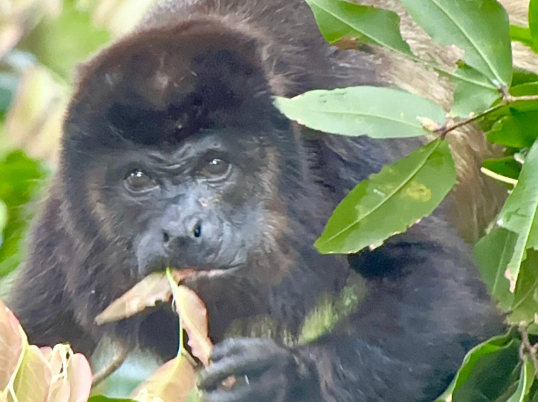 Piko Travel-艾拉杜拉必去景点