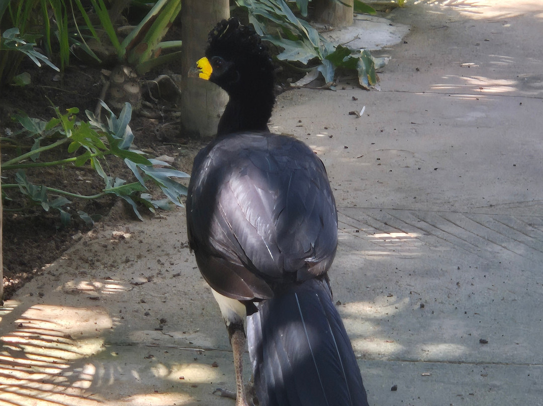 Parque Arvorar-Aquiraz必去景点