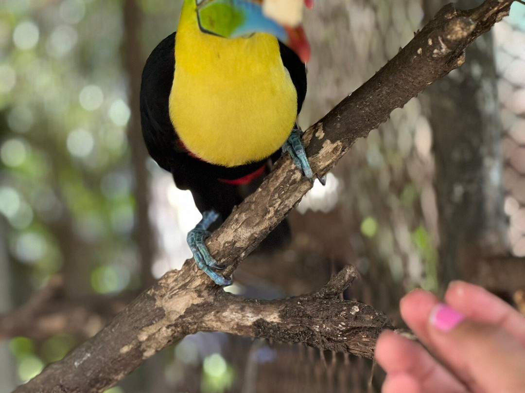 Jungla de Panama Wildlife Refuge-波魁特必去景点