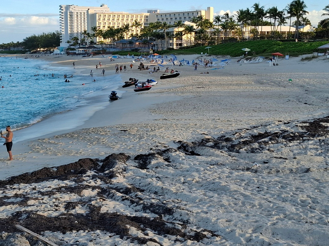 Cabbage Beach Viewpoint Steps-天堂岛必去景点