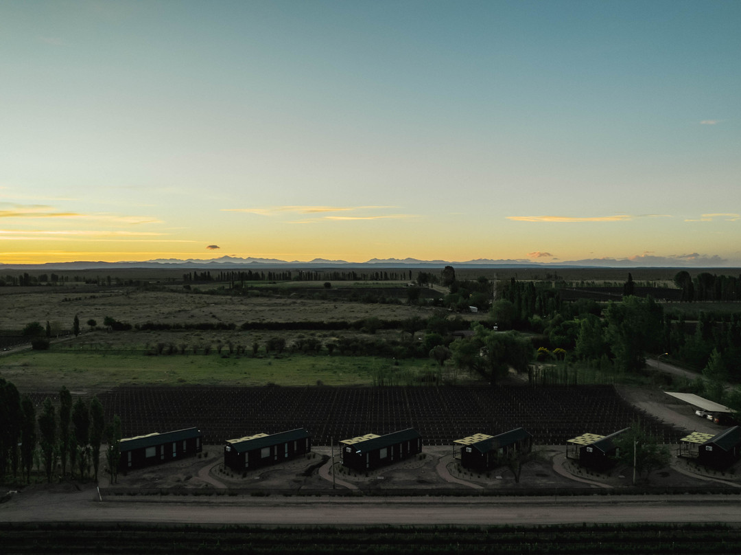 Bodega Iaccarini-圣拉斐尔必去景点