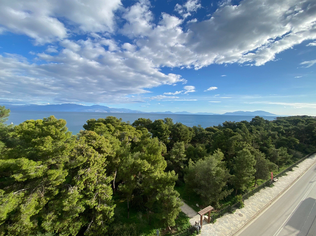 Evita Blue Hotel主图